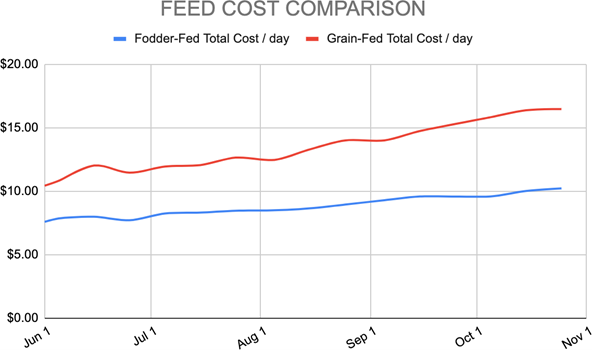 Feed cost comparison chart (daily cost per day over time, fodder vs. grain).png